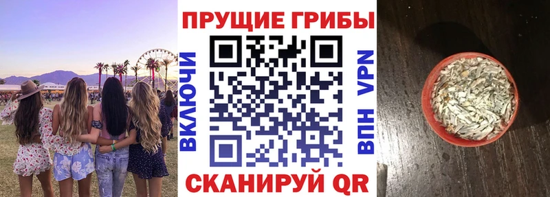 Галлюциногенные грибы Cubensis  Братск 