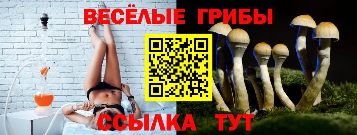 Псилоцибиновые грибы Psilocybine cubensis  цены наркотик  Братск  Вход с VPN 
